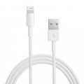 Apple Data Cable Gsm - Lightning Md819zm-a To Usb Cable 2 0m